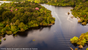 Manaus com Amazônia